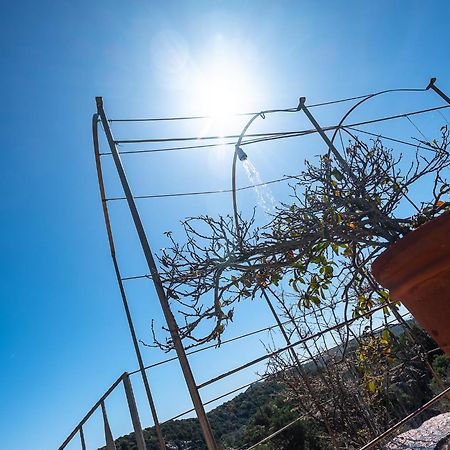 Sardinia Family Villas - Villa Nina With Private Pool Abbiadori Εξωτερικό φωτογραφία