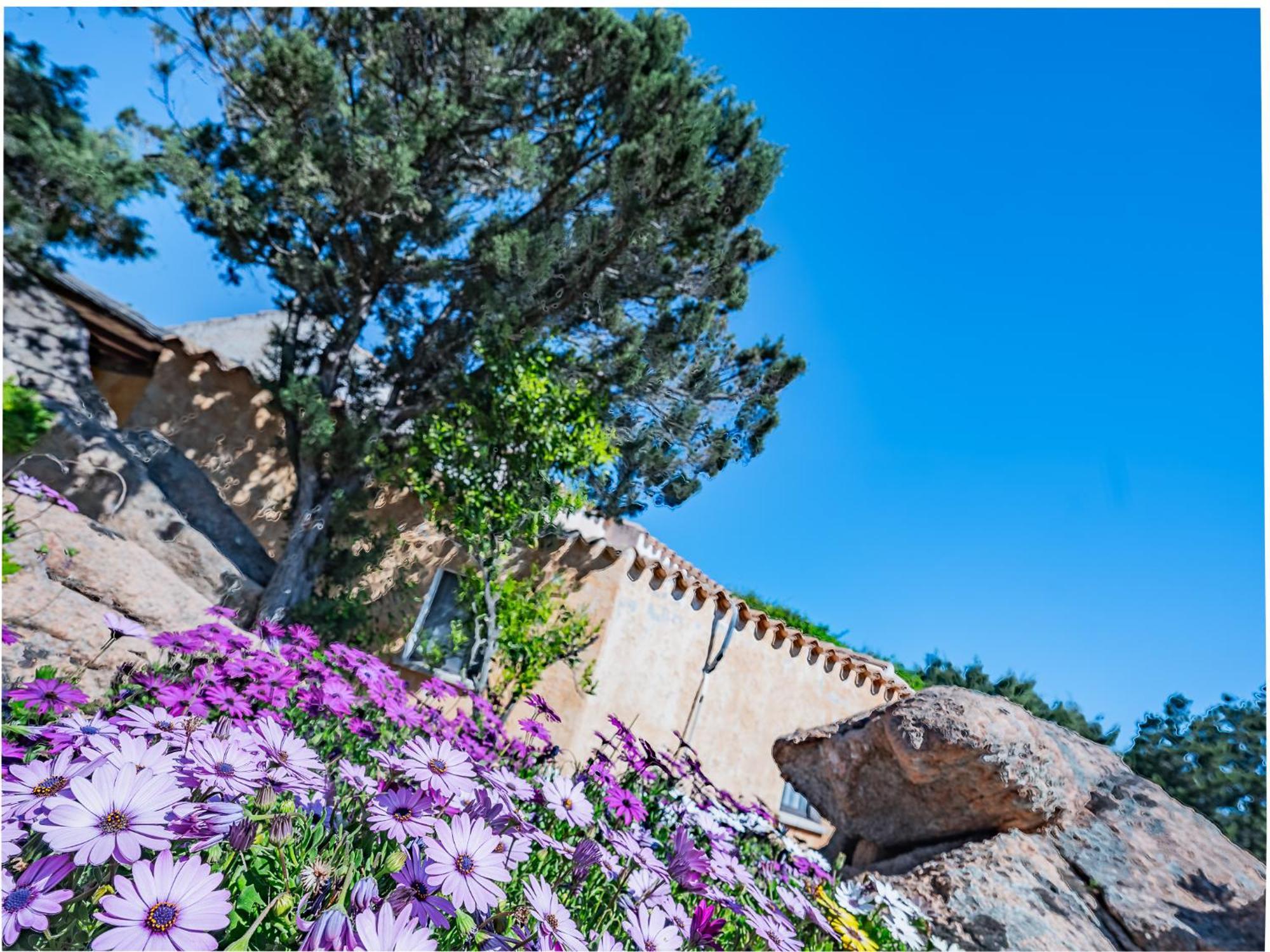Sardinia Family Villas - Villa Nina With Private Pool Abbiadori Εξωτερικό φωτογραφία